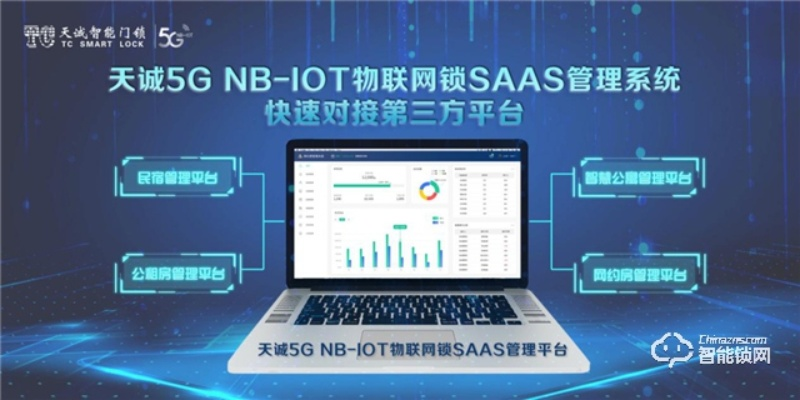 称号，动态数据合租网稳定性探析，数据安全与合租经验共享