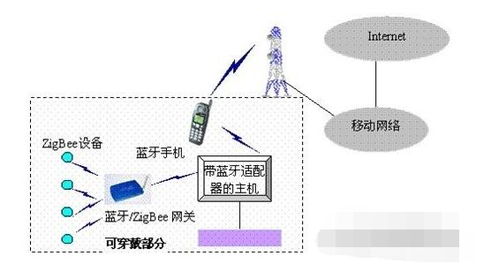 赛腾网稳定吗，深度剖析一个专业网络平台的可靠性与稳定性