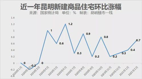 探索昆明信息网中文域名价值，精准估价与市场趋势分析