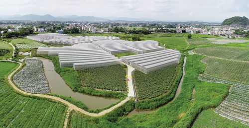 建个网址类网站需要多大空间？花生壳免费域名怎么样？主机屋的免费服务解析