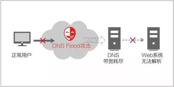 免流高防服务器25g金盾防御，能否抵御DDoS攻击？