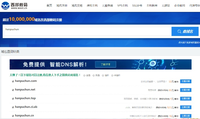 域名注册要注意的问题