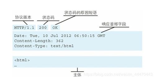 在Internet中主机的IP地址与域名