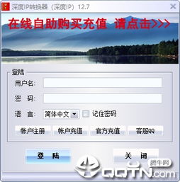 域名响应IP，解析与备用的深度探讨