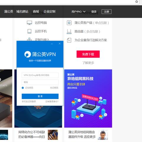 域名系统与IP地址的映射关系，探索网络访问的奥秘