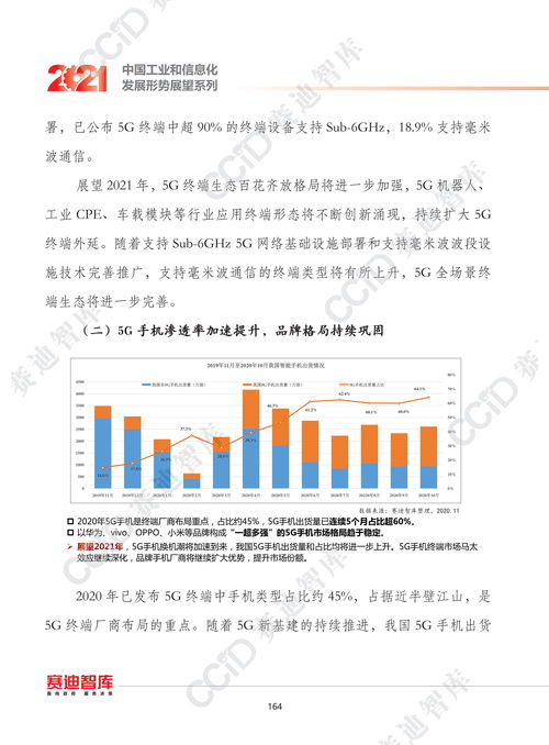 飞花云，稳定之翼下的技术探索与应用展望