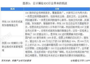 极兴云IDC的稳健性，云计算服务的稳定性与挑战分析