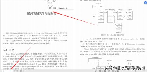 如何判断一个域名的好坏，全面解析与策略