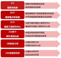 免费国内空间，顶级域名的高效利用与选择指南
