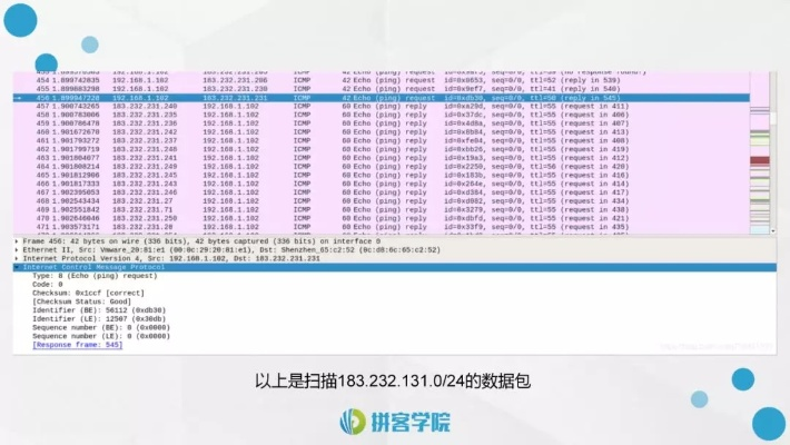 Ping网站域名，深度解析与实战应用