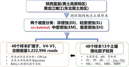 免费主机的稳定性及影响因素解析