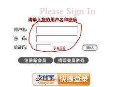 服务器托管商说独享6M带宽日IP1W以内够用么？深度解析与实战建议