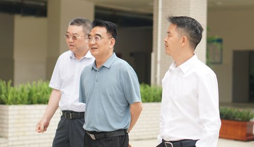 注册域名，从基础知识到高级策略的全面指南
