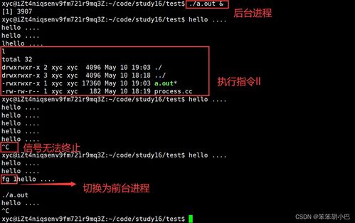 英八特网络稳定性探讨，确保高效上网体验的关键要素
