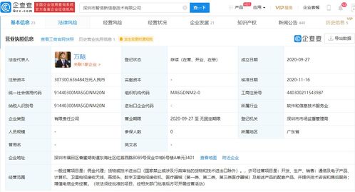 独立域名绑定，解锁数字资产与品牌建设的钥匙