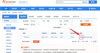 探索域名解析与虚拟主机IP的奥秘，从注册到配置的全过程指南