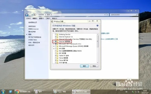 网吧计算机能否作为虚拟主机使用及替代IIS的软件选择