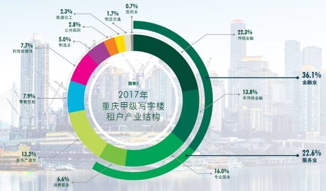 重庆域名稳定性解析，现状、挑战与未来展望