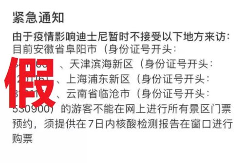 新网域名服务深度解析，真相与谣言的界限