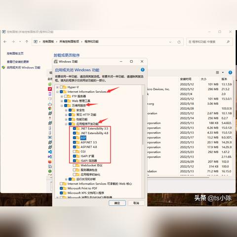 IIS服务器，虚拟主机同时支持ASP、PHP、ASPX页面的实现与探讨