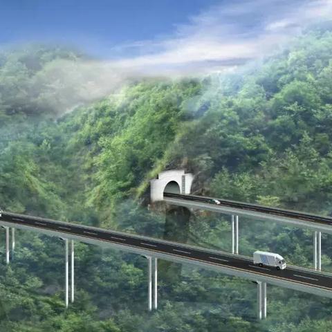 中桥网络，连接世界的桥梁，在网络中构建稳定与速度