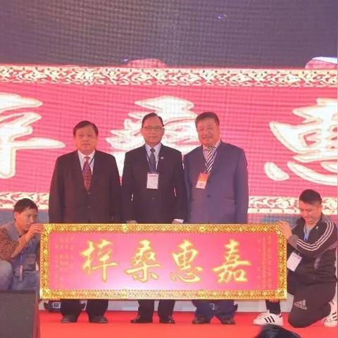 创新科技的稳定性，在变革与稳定之间寻找平衡