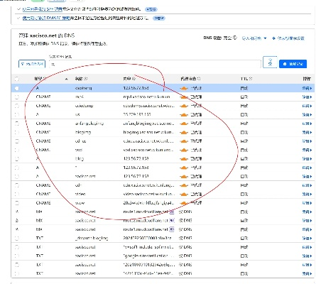 铁通用户无法使用org等动态域名解析的困境与解决方案