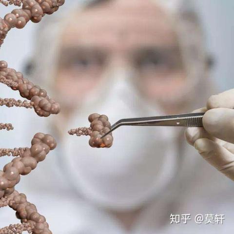 萤火虫虚拟主机，稳定性解析与实战应用探讨