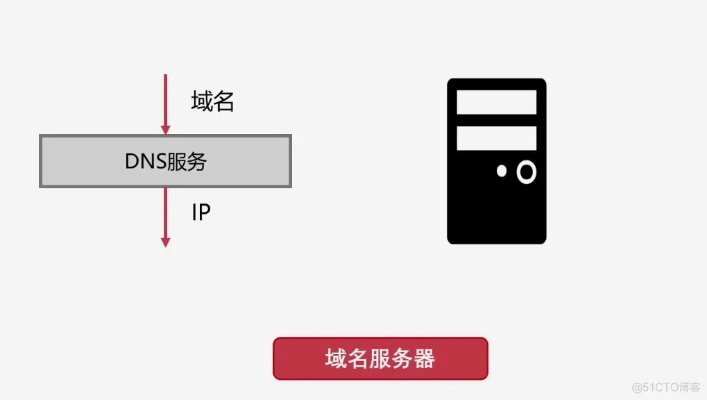 域名系统在地址表示中的层级解析