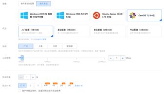 如何使用新网域名发布网站，从注册到上线的全面指南