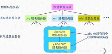 在因特网中，IP地址与域名的角色、作用及区别