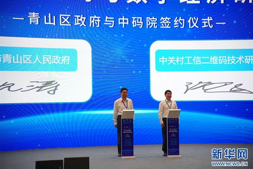 荣易网络，构建稳定基石，扬帆数字时代