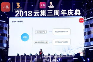 悠久主机稳定运行策略与用户体验提升之道