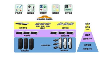 湖南拓枫数据，稳定、可靠、高效，引领行业新标杆