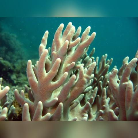 太平洋数据稳定吗？深入解析海洋数据变化的复杂性与重要性