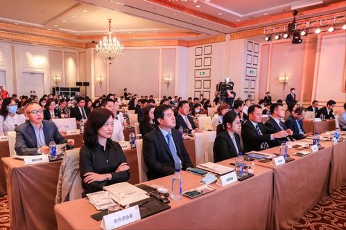 评测新名词，畅行云的潜力与挑战