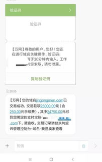 域名抢注全攻略，如何把握时机，成功续期或抢注心仪域名