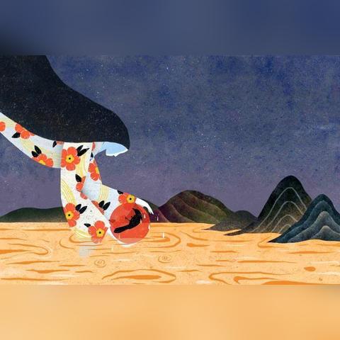 蒙鸟语评测，科学解析鸟类多样性背后的生态智慧