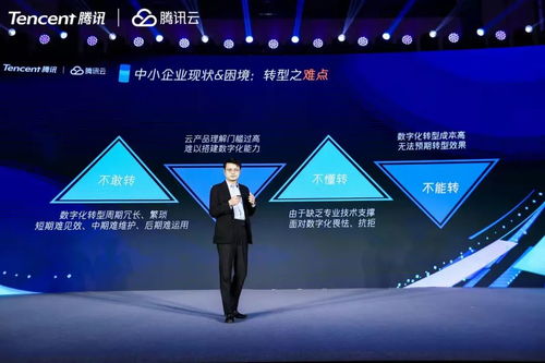 若云科技评测，重塑数字时代的云服务版图