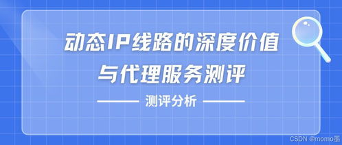 评测新宠，滴盾网络到底有多给力？深度解析其性能与优势