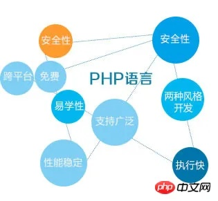 PHP中文网评测，专业解析，带你深入了解编程语言实力