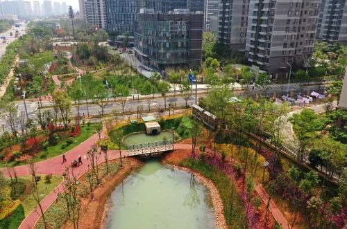 九八互联评测，深入浅出解析互联网发展风云