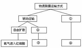 关于域名系统的叙述中不正确的是，解析过程与安全性探讨