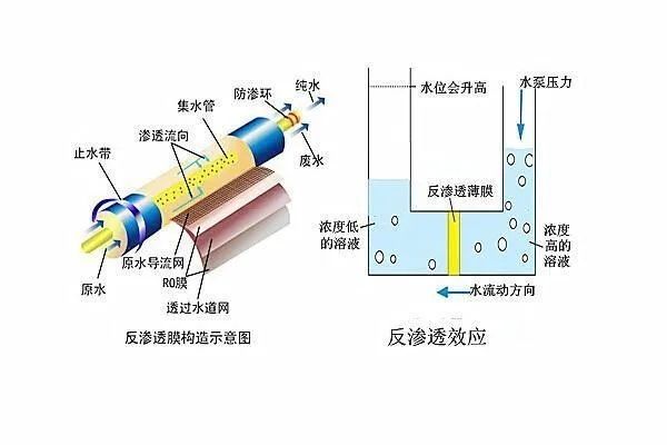 炒米网评测，深度解析净水机之王RO膜技术的卓越性能