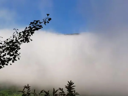 清静云评测，解锁云端宁静的秘籍
