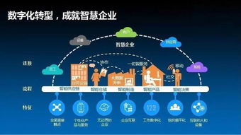 德迅网络评测，打造高效稳定的网络通信，引领数字化时代新潮流