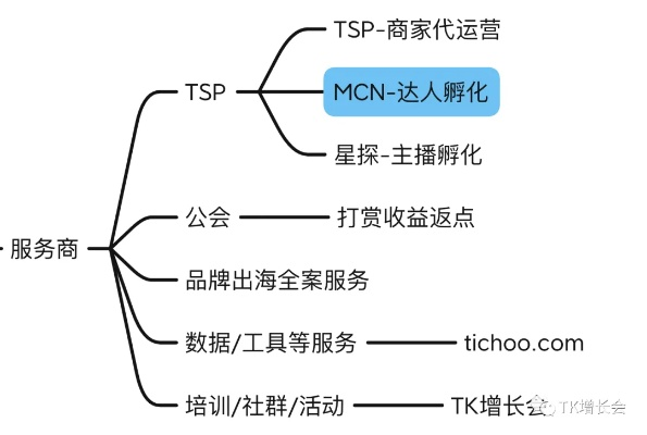 TK域名后台管理，设计高效网站管理的核心策略