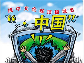 数字背后的信任，8866米交所评测及其深远影响