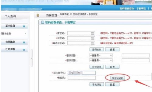 如何绑定子域名和二级域名到子目录，详细步骤与注意事项
