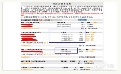 申请个人域名与购买空间，打造个人在线品牌的基石
